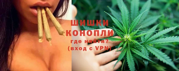 соль ск Дмитриев
