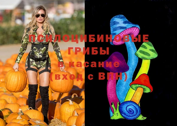 соль ск Дмитриев