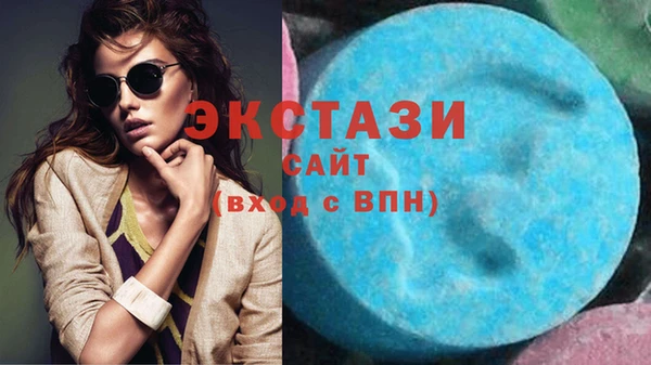 соль ск Дмитриев