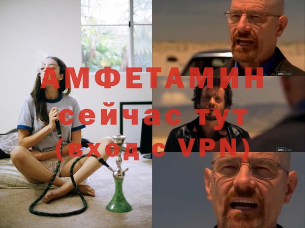соль ск Дмитриев