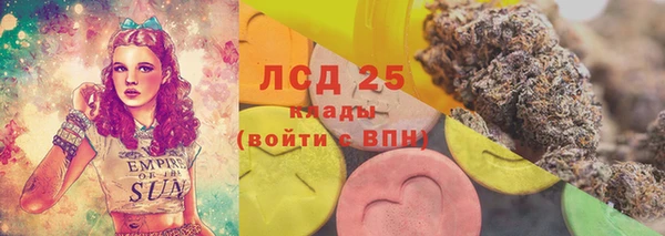 прущие грибы Гусев
