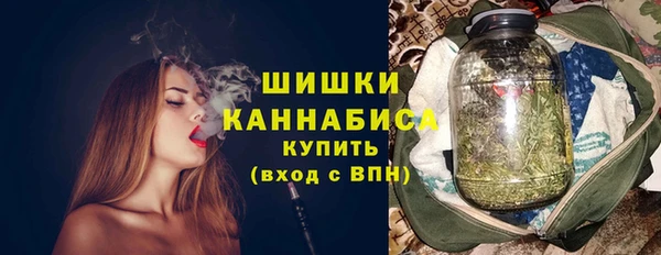 соль ск Дмитриев
