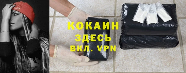 дживик Гусь-Хрустальный