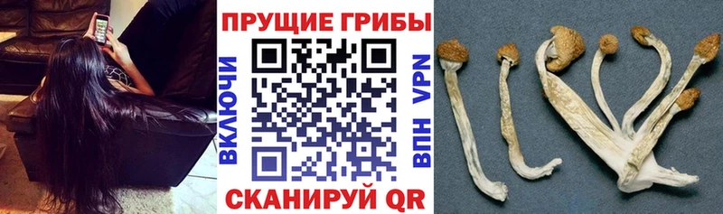 Купить закладки  Лиски  Псилоцибиновые грибы Cubensis 